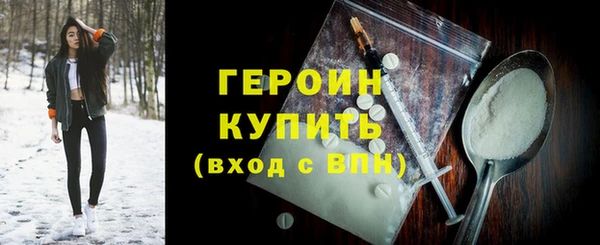 гашик Алексин
