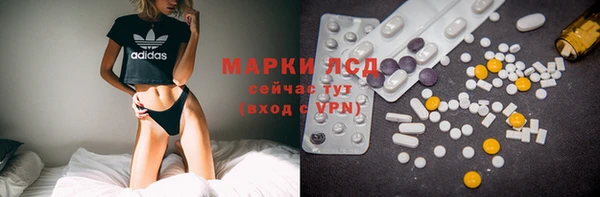 гашик Алексин