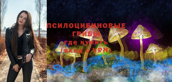 амф Алексеевка
