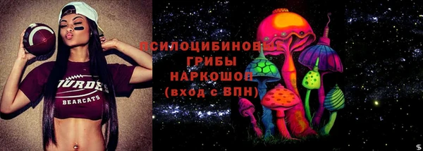 эйфоретик Алзамай