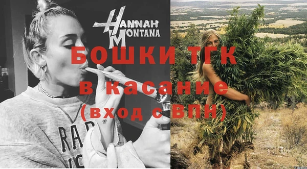 гашик Алексин