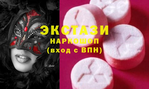 гашик Алексин