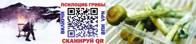 Псилоцибиновые грибы ЛСД  KRAKEN зеркало  Тында 
